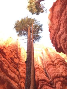 hiking in bryce canyon