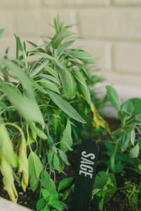 herb garden labels