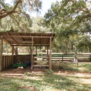 turning a shed into a chicken coop