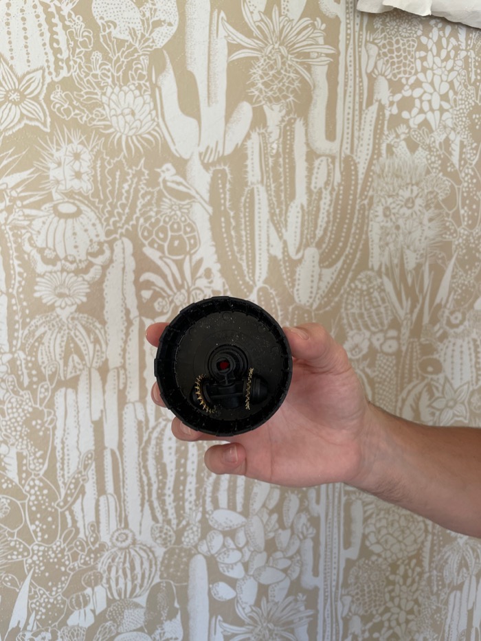 How to Remove Wallpaper - Daly Digs