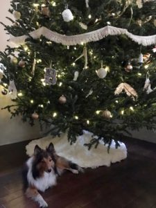 boho Christmas tree with sheltie sitting under