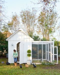 turning a shed into a chicken coop inspiration